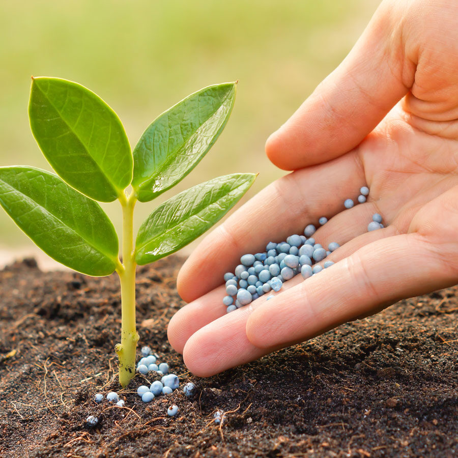 Suplier Surface Treated Talc