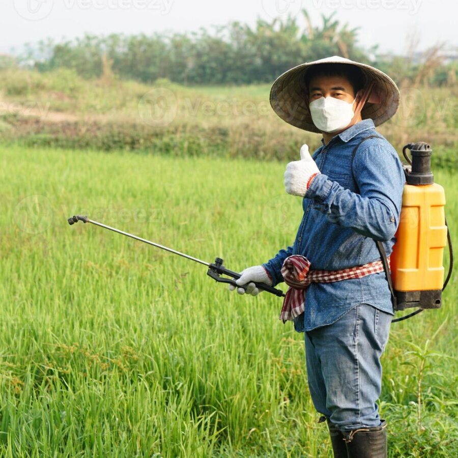 Kalsium Karbonat Mikro