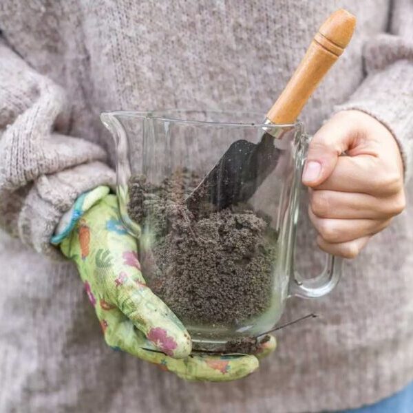 Micro Zeolit Mesh 5000