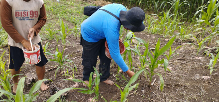 Calcium Silicate Pupuk