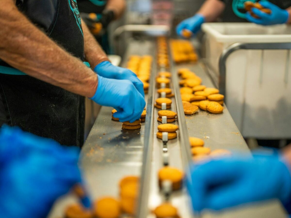 magnesium stearate Biskuit