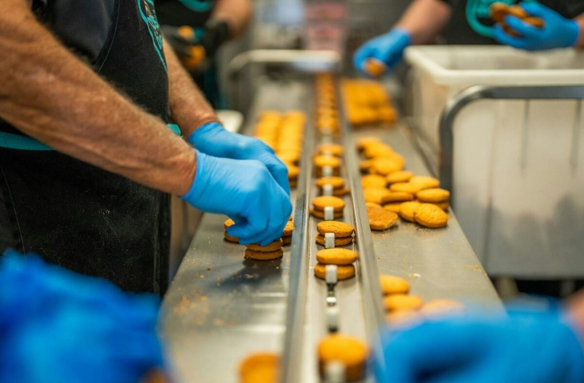 magnesium stearate Biskuit